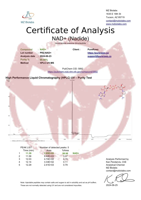 NAD+ (Nicotinamide Adenine Dinucleotide) | Purerawz