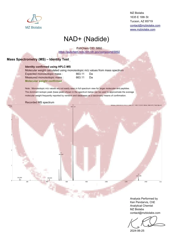 NAD+ (Nicotinamide Adenine Dinucleotide) | Purerawz 2