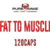 Fat to Muscle 120 Capsules - Image 2